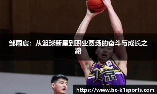 k1体育