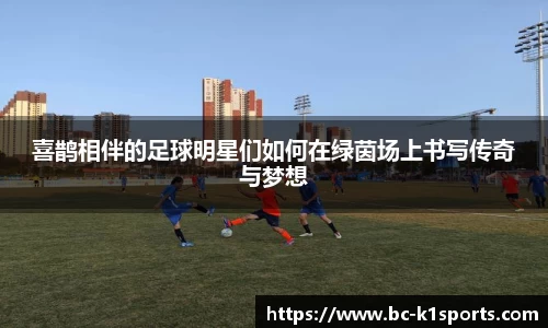 k1体育官方网站